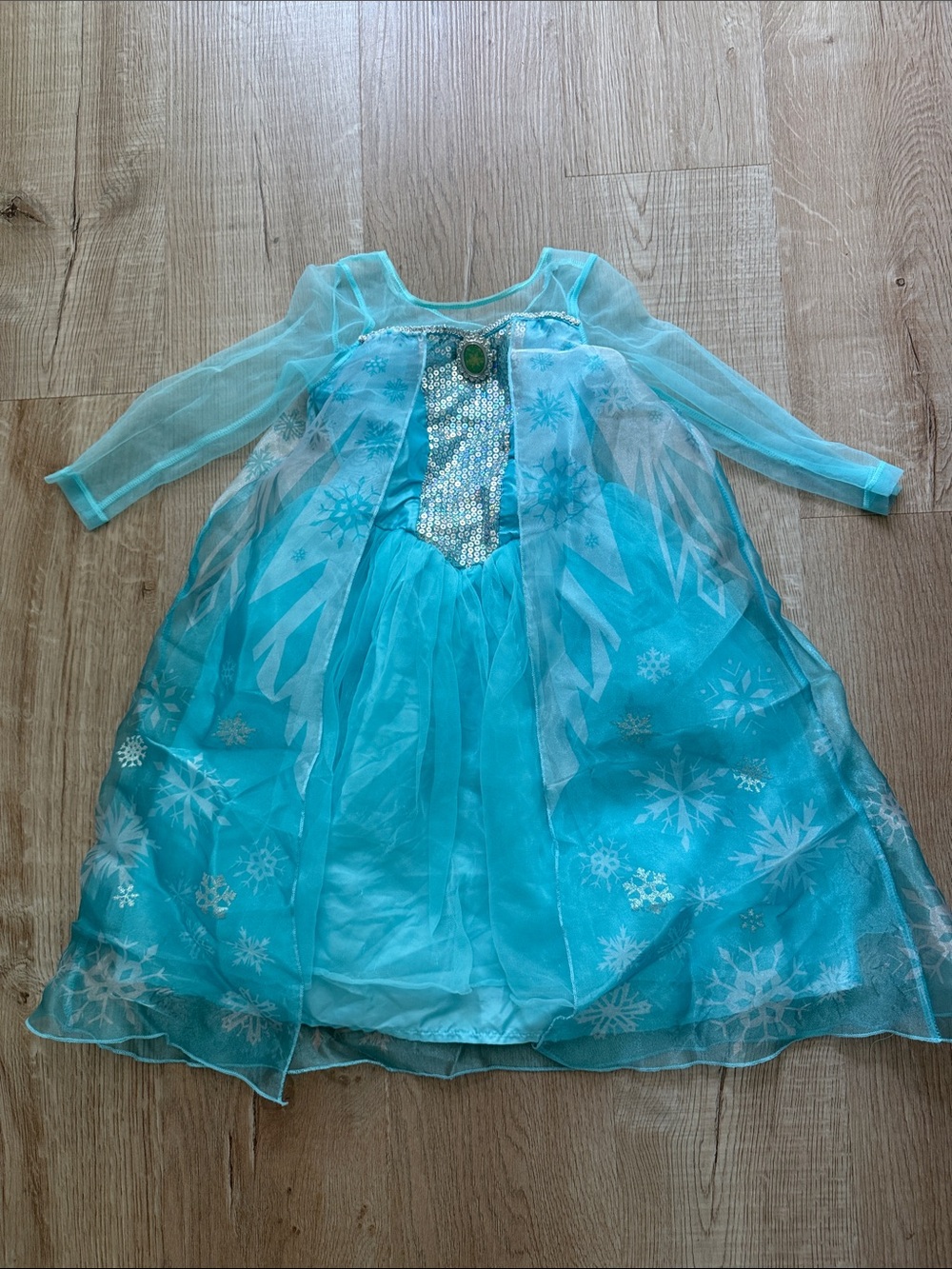 Elsa Frozen Disney Kids Dress with Sheer Sleeves
